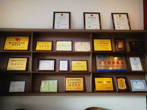 中越股份 企業(yè)一站式服務(wù)專家，引領(lǐng)計(jì)算機(jī)信息化時代