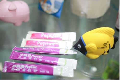 百貨會 探索日用消費品與家居生活的創新舞臺